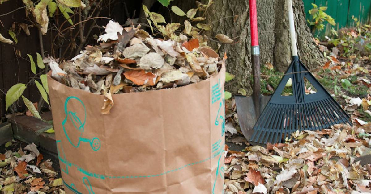 Leaf & Brush Pick Up Netcong Borough